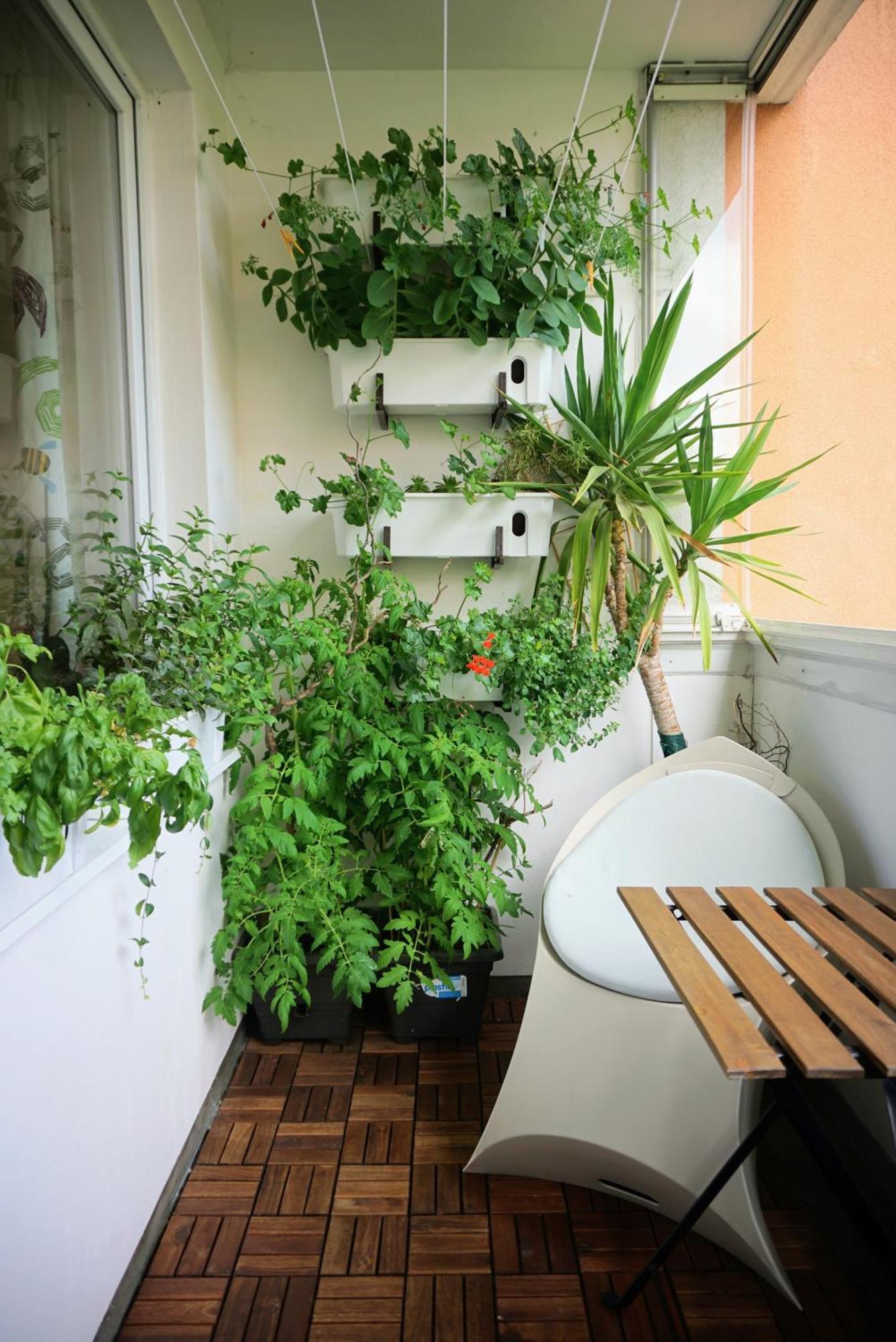 Daire Jana's Apartment, Free Parking
